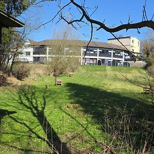 Hotel Seeblick am Sankelmarker See - Natur und Erholung